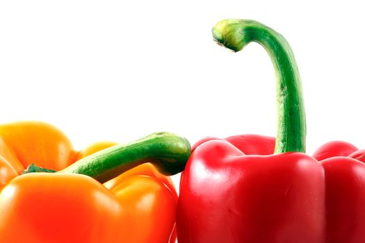 Peppers on white background