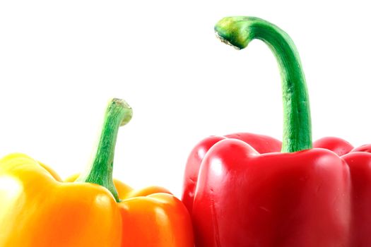 Peppers on white background