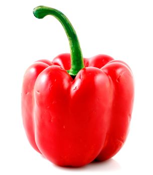 Peppers on white background