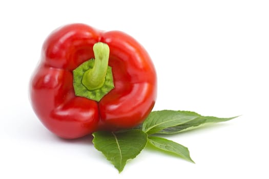 fresh pepper