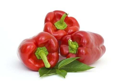 fresh peppers