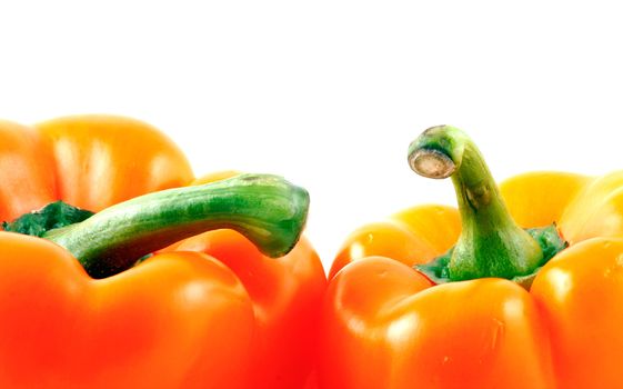 Peppers on white background