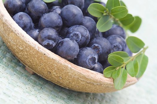fresh blueberries