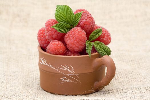 fresh raspberries