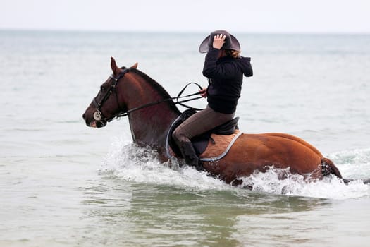 horse, a herd of horses, horse with foal