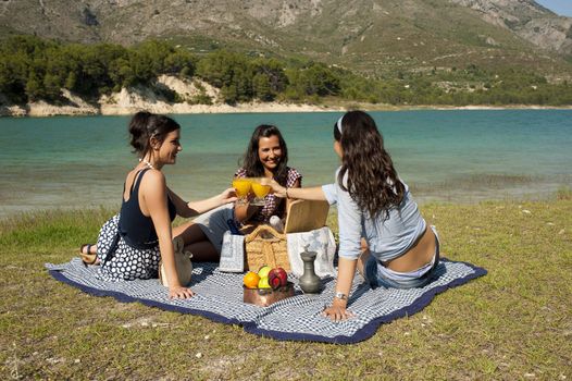 Girls enjoying a pleasant spring time picnic