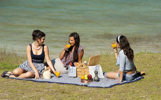 Girls enjoying a pleasant spring time picnic