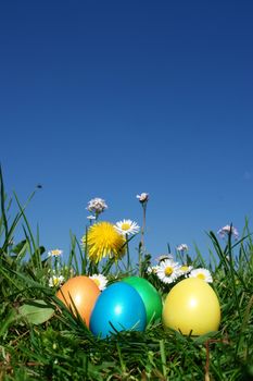 colorful Easter egg in the fresh  spring meadow