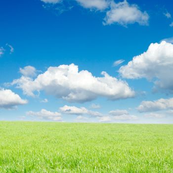 spring field and the beautiful sky 