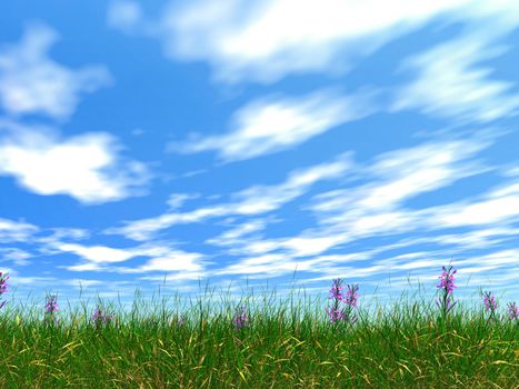 Dense high grass (bush) and flowers  on a background of the blue sky with rare clouds