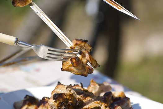 Grilled appetizing shish kebab on metal skewers