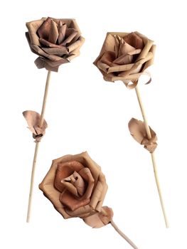Rose made of a birch bark on a white