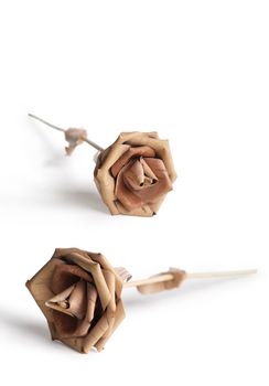 Rose made of a birch bark on a white