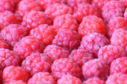 Close up of the pink raspberry for the background