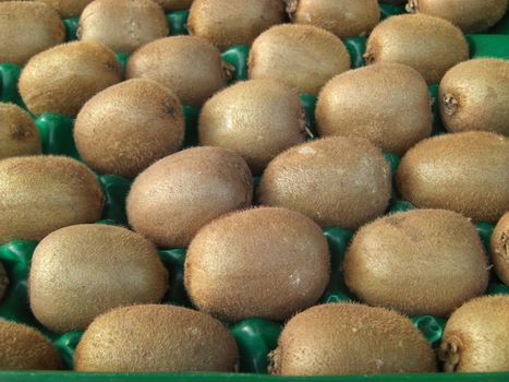 green fruit tray filled with kiwi fruits, background image