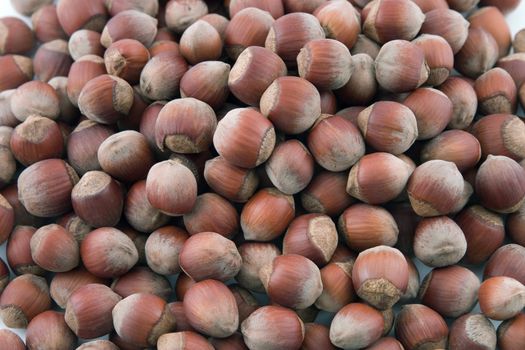 Wood nuts on a white background