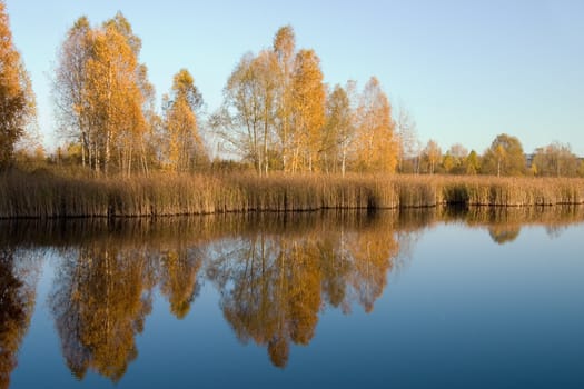 Kind on wood lake in the middle of autumn