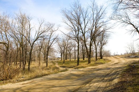 Road by the scattered garbage