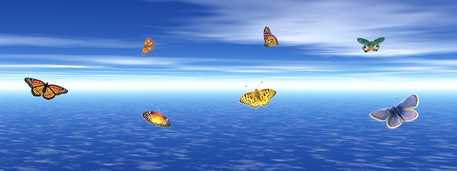 Many colored butterflies dansing upon the quiet blue ocean water by cloudy weather