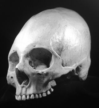 Human skull - bone head dead teeth spooky scary pirate isolated evil