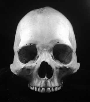 Human skull - bone head dead teeth spooky scary pirate isolated evil