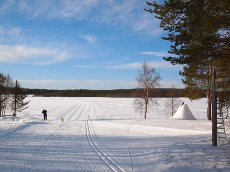 Cross-country skiing in a snow white Lapland landscape.
