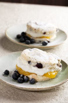 Fresh cream filled pastry and blueberries.