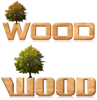 Two words "wood" in wood material with tree
