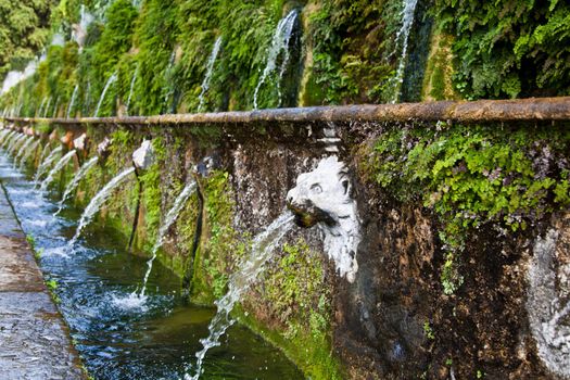Detail of the luxury Villa d'Este in Tivoli, close to Rome - Italy