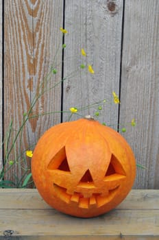 Symbol Halloween - a pumpkin O Lantern on a wooden bench against wooden boards