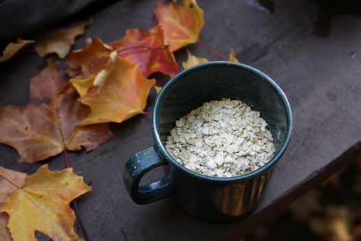 A camping mug with oatmeal, sitting on a picnic table in autumn.