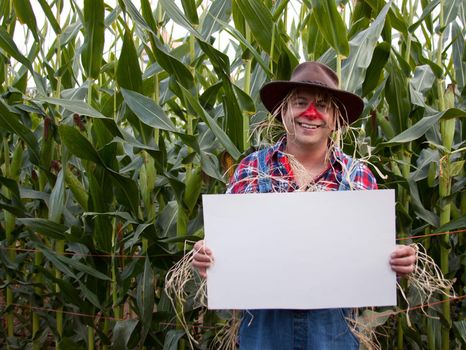 Scarecrow in a corn field holding a sign that can hold copy space.