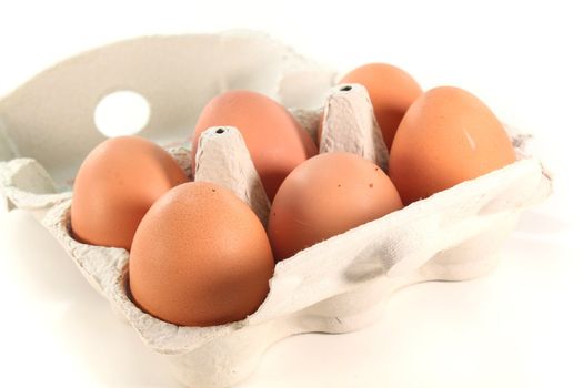 fresh chicken eggs in a light box on a white background