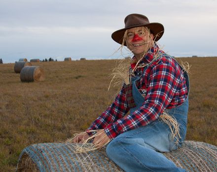 Smiling and happy scarecrow is sitting atop a hay bale.