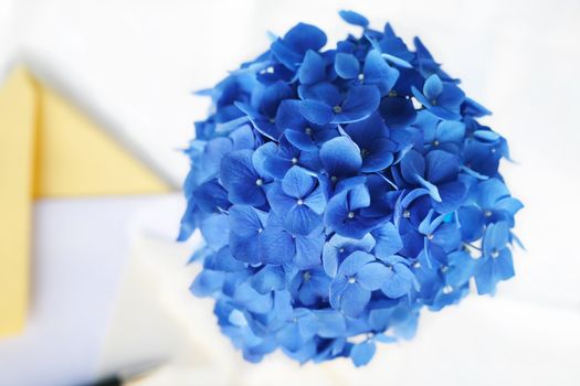 Blue hydrangea flower next to pen and stationery, in a calm yellow and blue color scheme. Letter writing