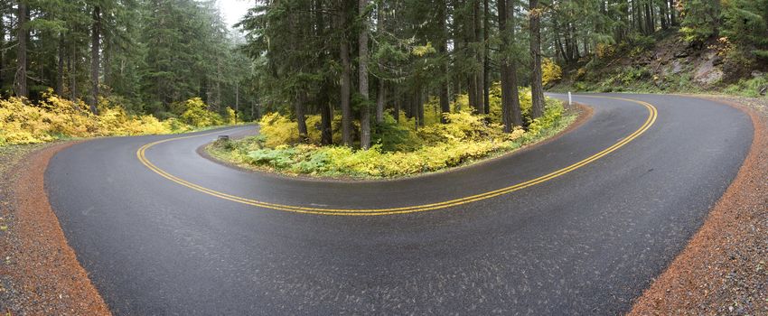 A curve in the road on the McKenzie Highway in Oregon on a foggy Autumn morning.  6 image stitch