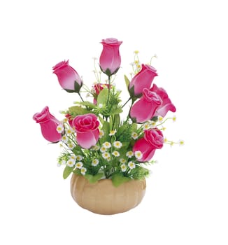 Vase of pink roses isolated on white background