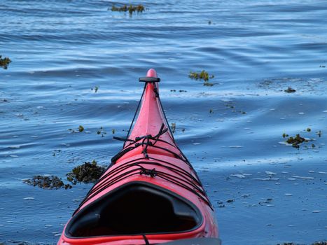 Wilderness nature outdoors adventure sea journey in a kayak