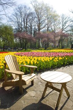 Keukenhof Gardens, Lisse, Netherlands