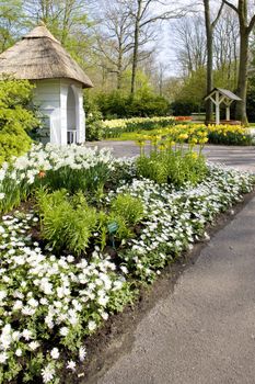 Keukenhof Gardens, Lisse, Netherlands