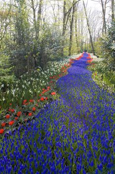 Keukenhof Gardens, Lisse, Netherlands