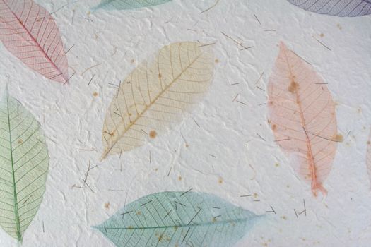 Paper with leaves for use as Natural Background