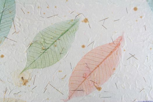 Paper with leaves for use as Natural Background