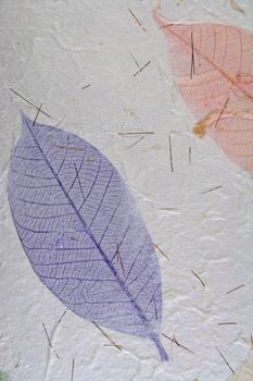 Paper with leaves for use as Natural Background