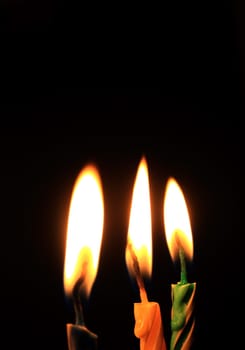 Candles isolated on black background