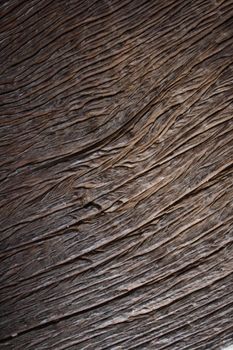 Brown closeup of wood texture