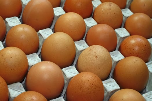 Tray of fresh chicken eggs