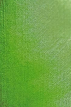 Abstract green leaf texture background