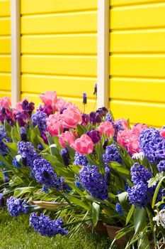 Keukenhof Gardens, Lisse, Netherlands