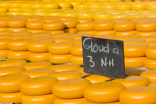 cheese market, Alkmaar, Netherlands